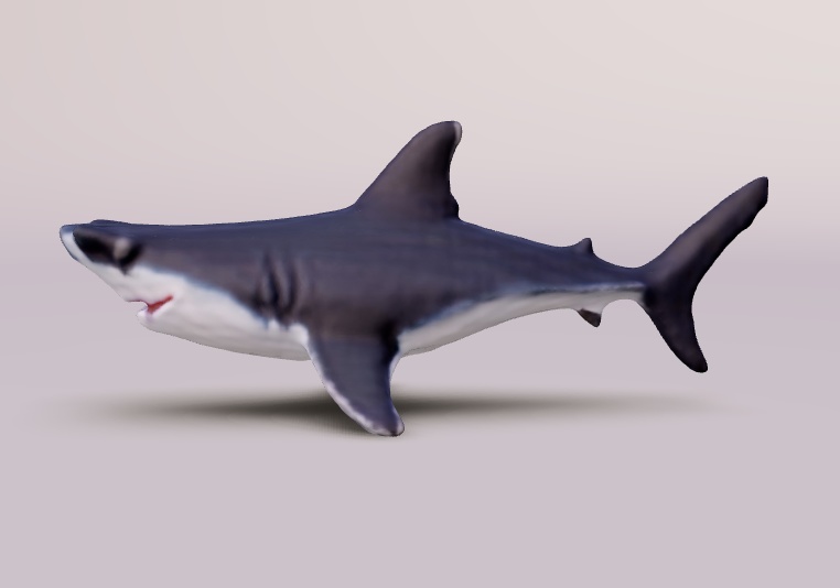 (fbx) サメ
