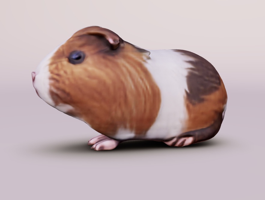 (fbx) モルモット