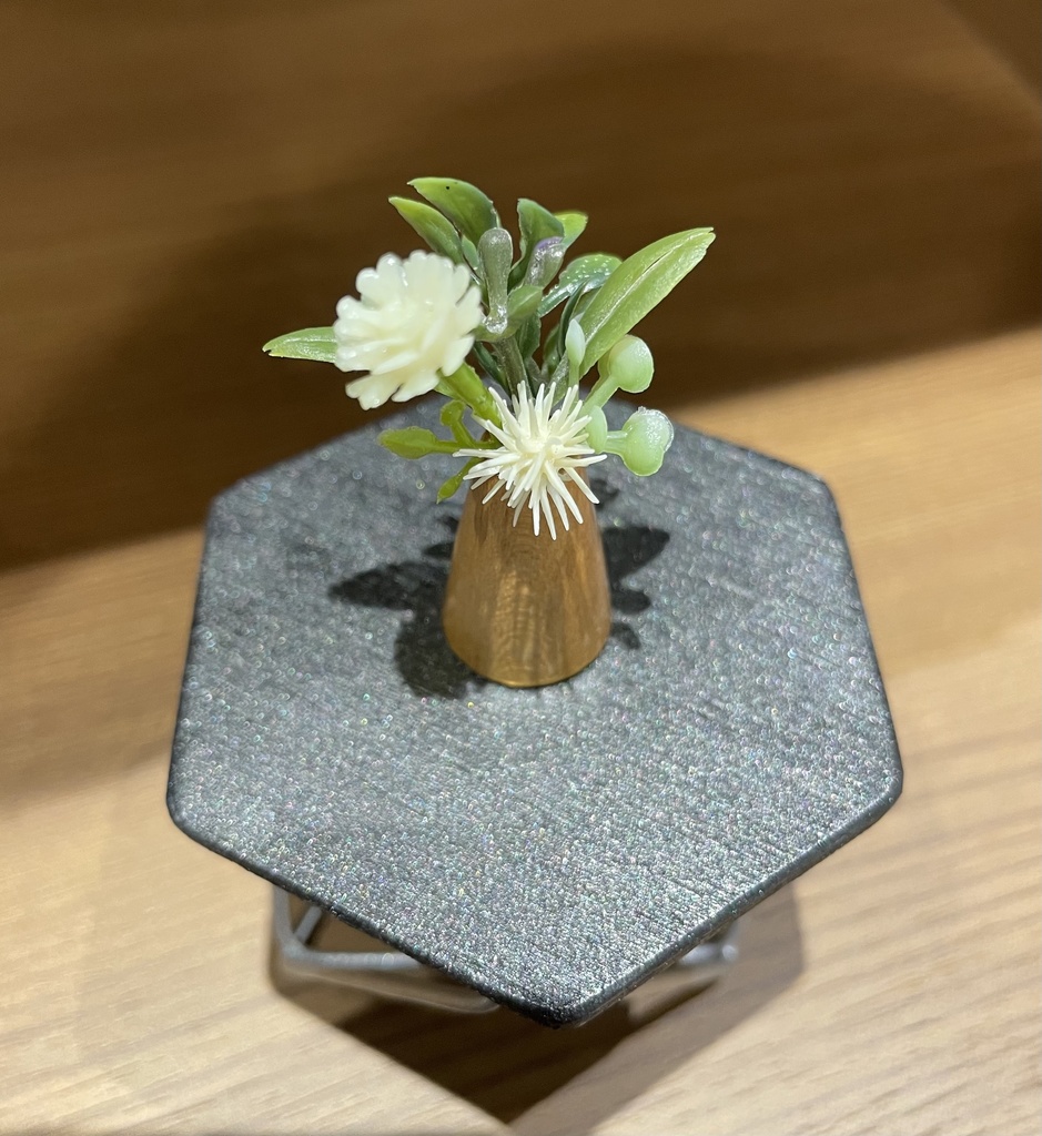 観葉植物(各種)