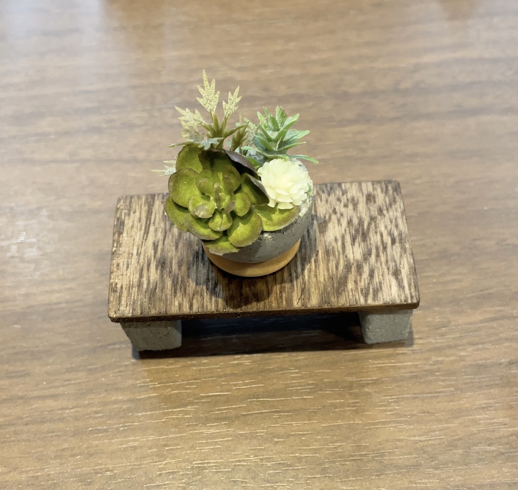 観葉植物作成キットB