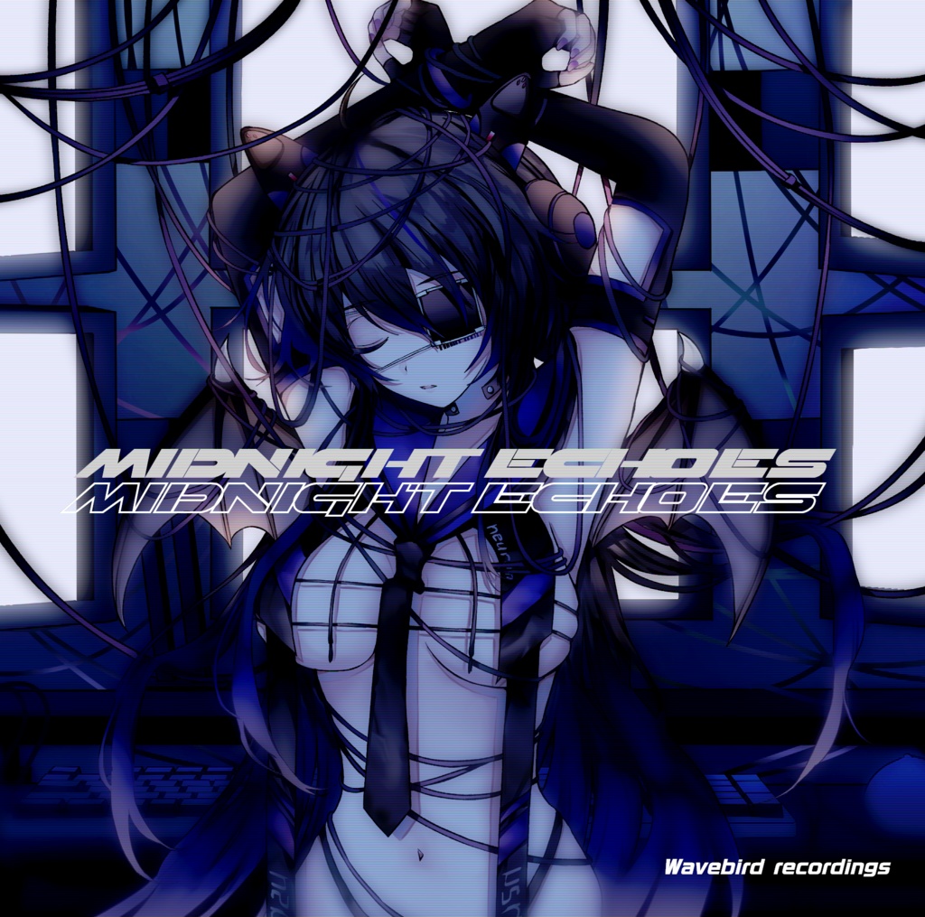 Midnight Echoes