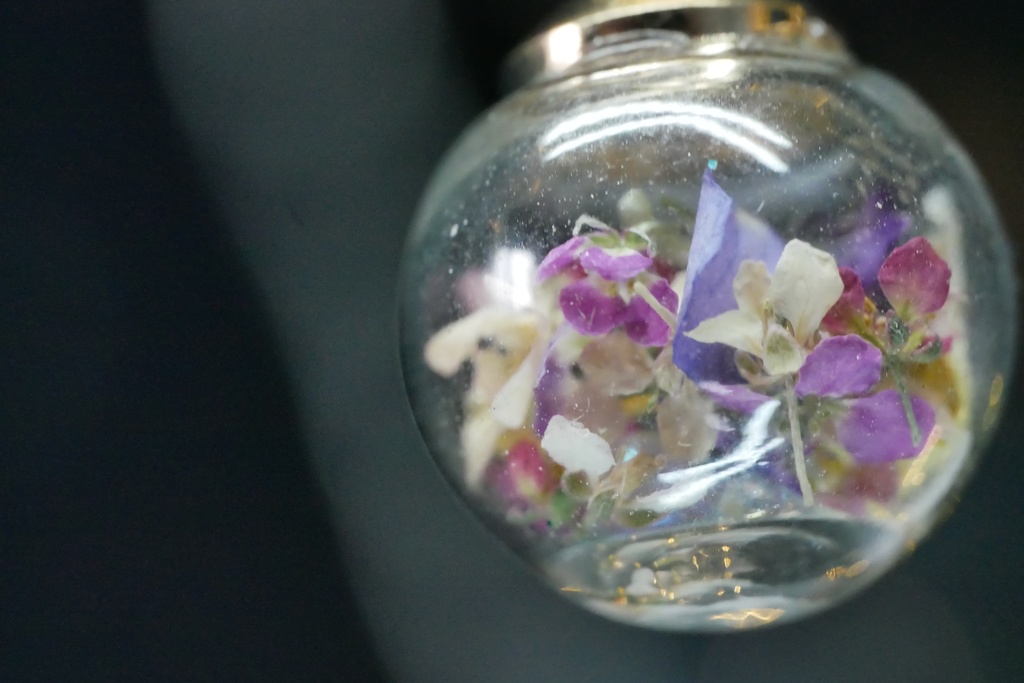 【マイガーデン】ガラスドームのみみかざりA