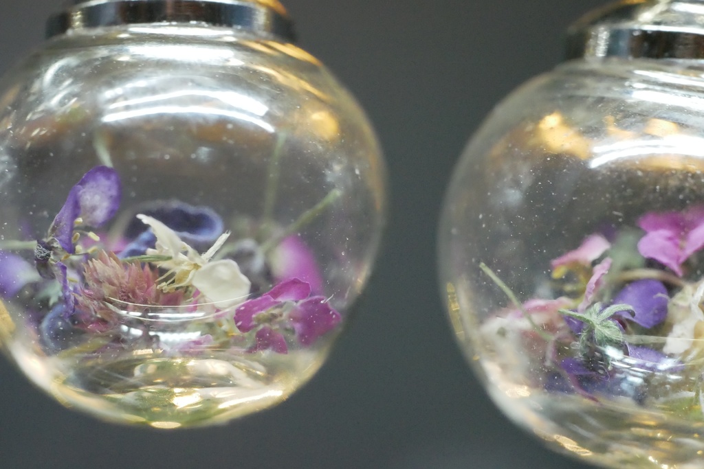 【マイガーデン】ガラスドームのみみかざりB