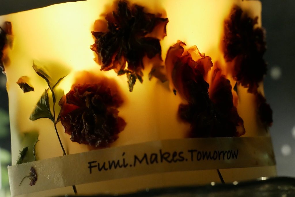 【マイガーデン】LEDキャンドル専用ボタニカルランタン -2025summer-