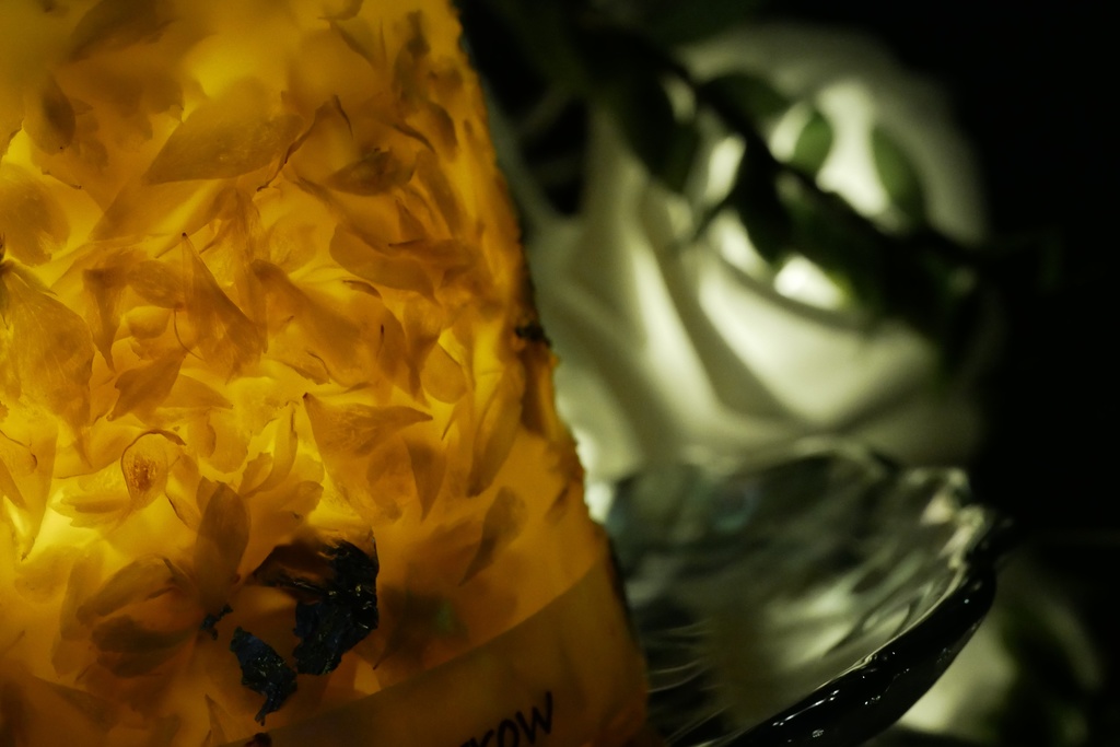 【マイガーデン】LEDキャンドル専用ボタニカルランタン -2025summer-