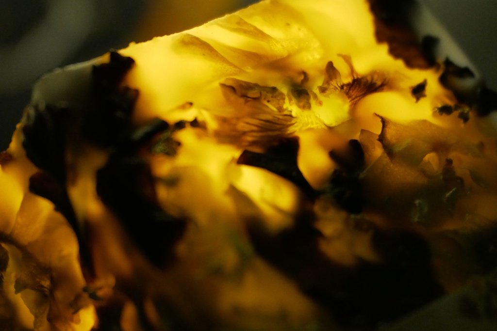 【マイガーデン】LEDキャンドル専用ボタニカルランタン -2025summer-