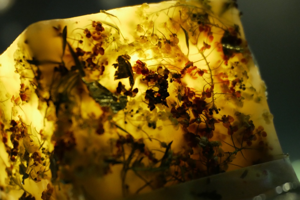 【マイガーデン】LEDキャンドル専用ボタニカルランタン -2025summer-