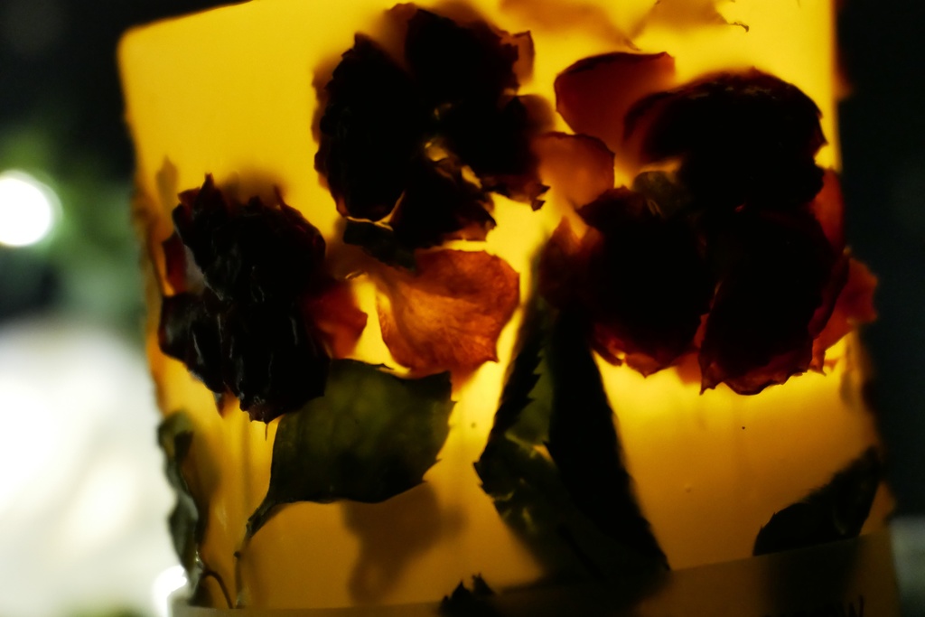 【マイガーデン】LEDキャンドル専用ボタニカルランタン -2025summer-