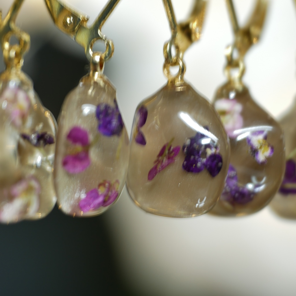 【星を育てる庭】アリッサムのみみかざり -2026SP ver.-