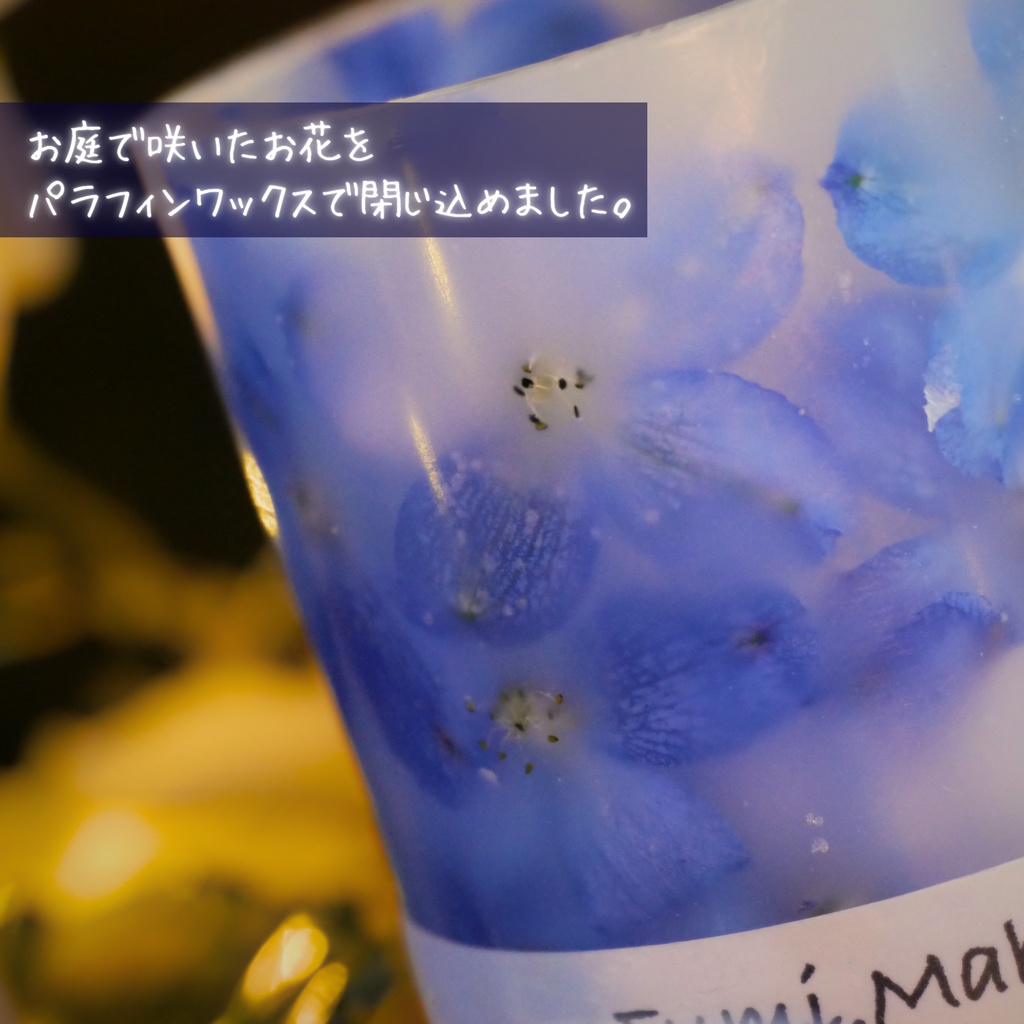 LEDキャンドル専用ボタニカルランタン -2026 summer-