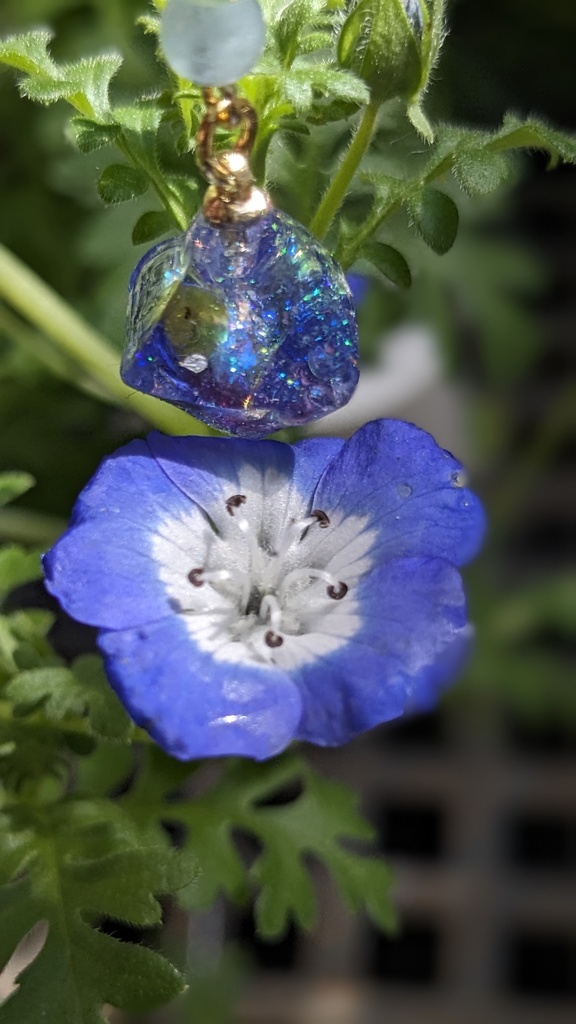 レジンチャーム　ネモフィラブルー