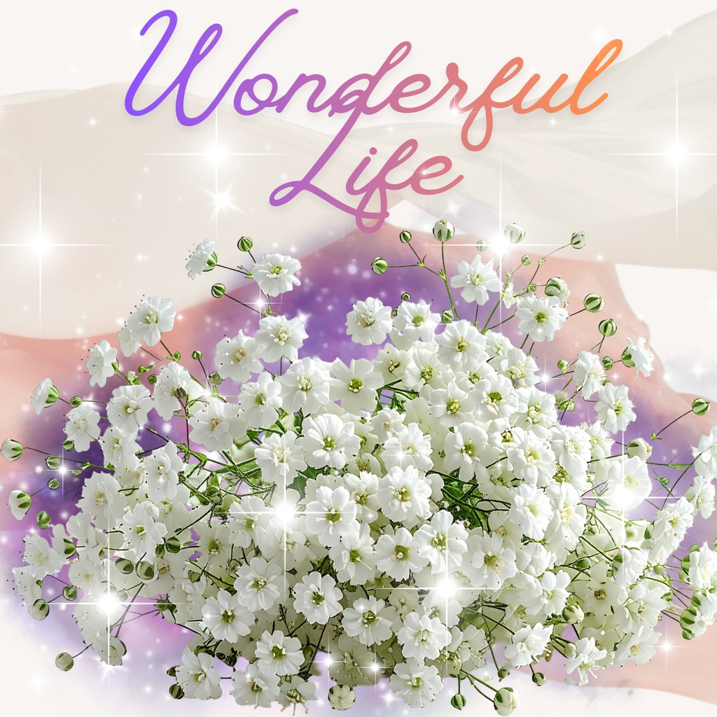 Wonderful Life