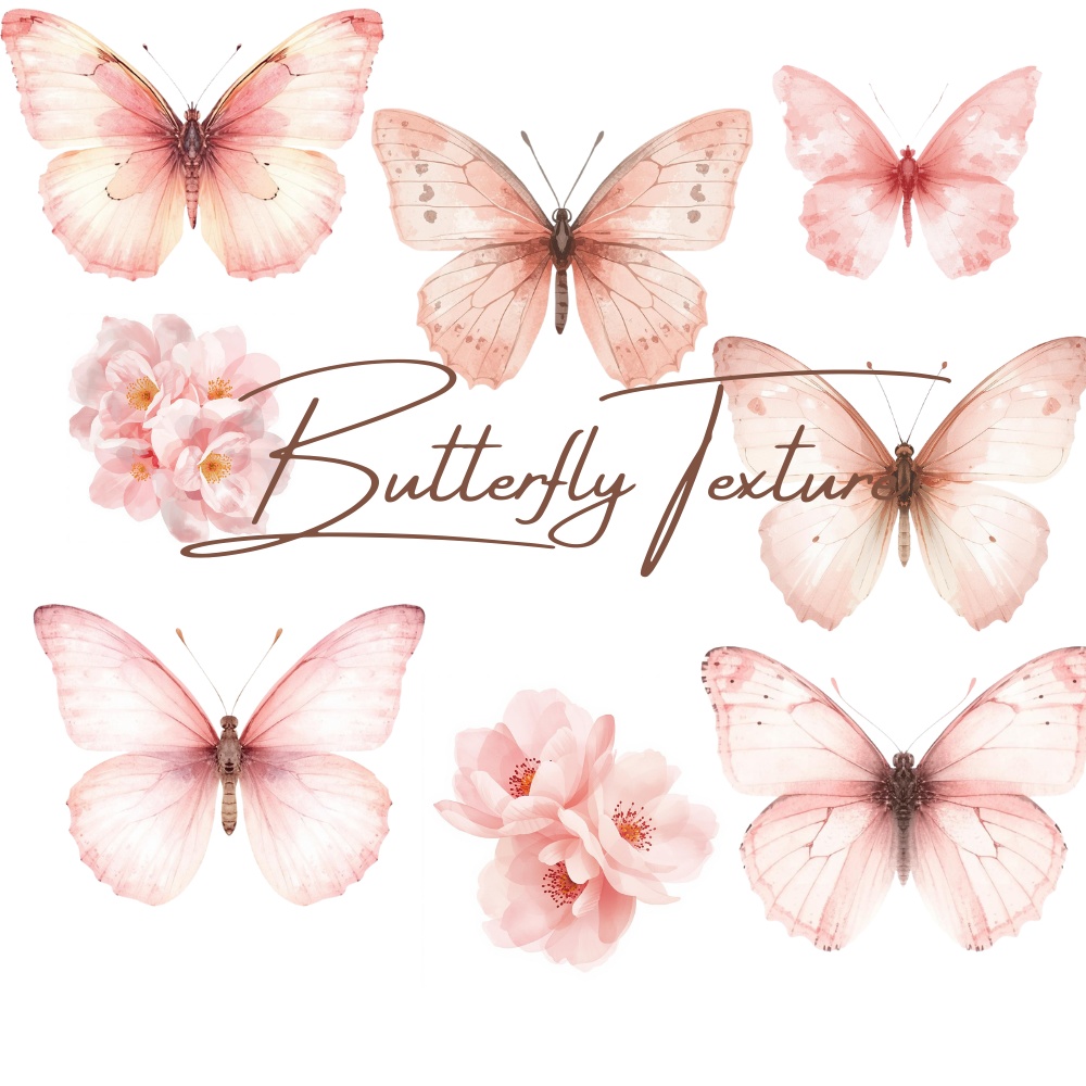 Butterfly　クリップファイル　7枚　テクスチャ