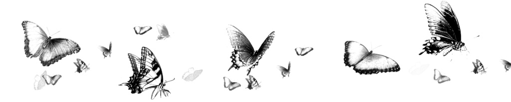 ◆蝶ブラシ
