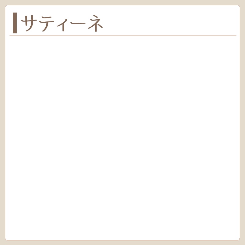 サティーネ　製作実績