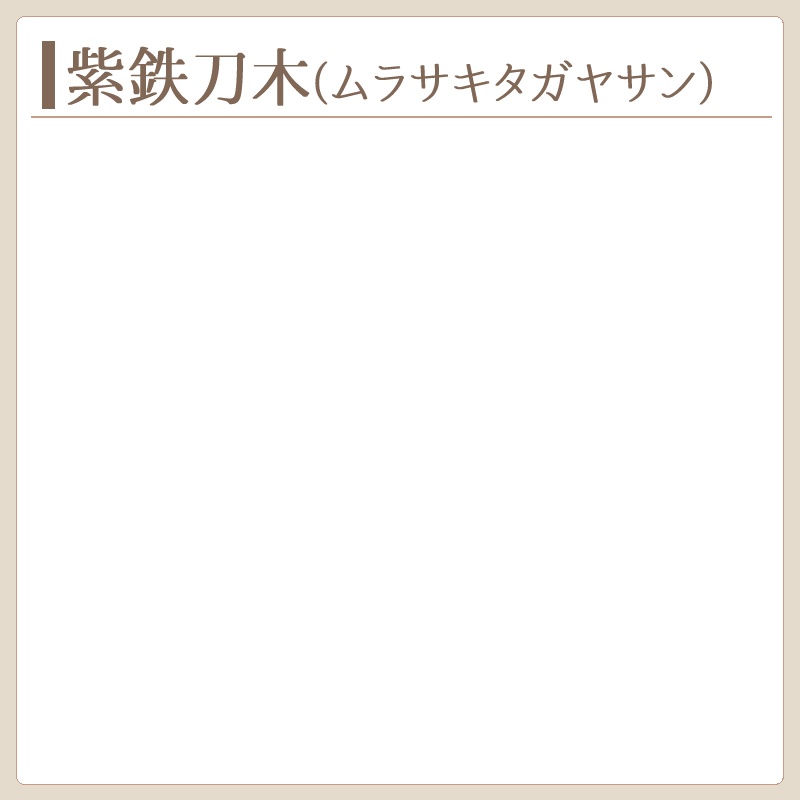 紫鉄刀木　製作実績