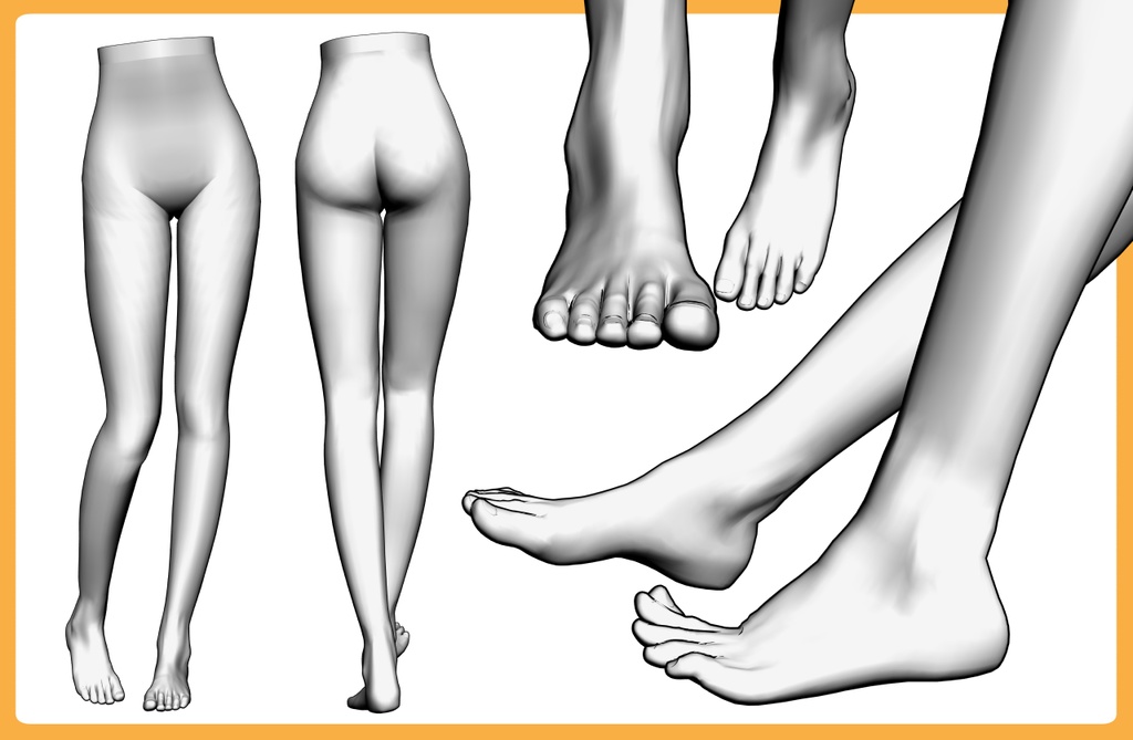 女性の下半身3D