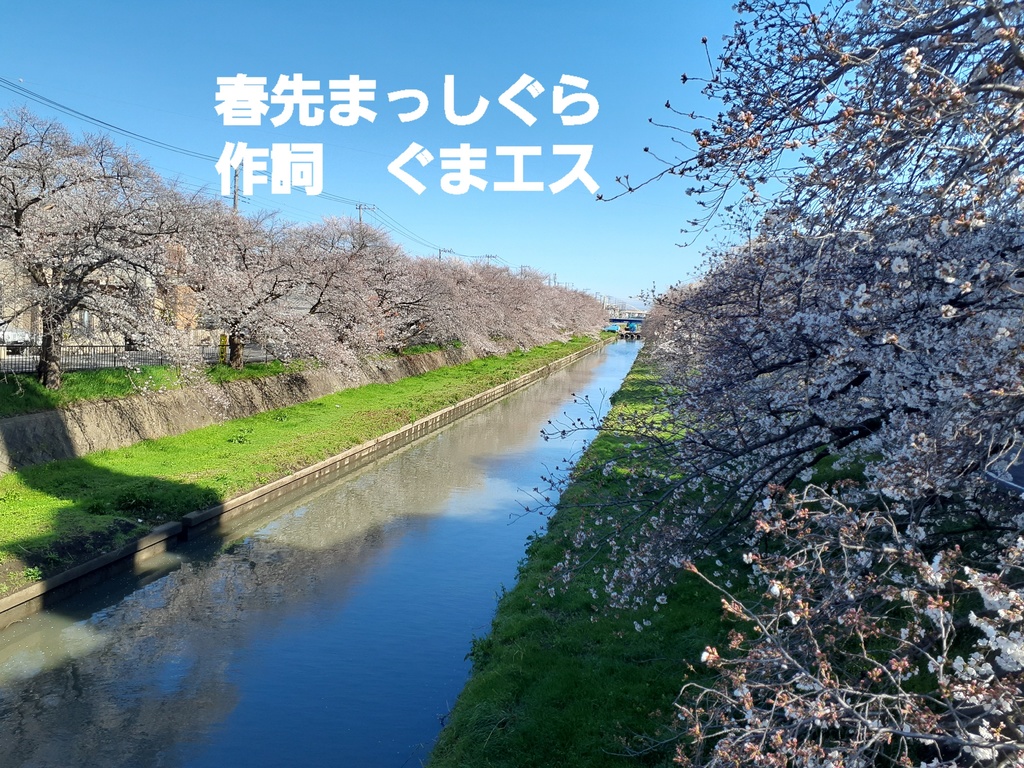 自己作詞　春先まっしぐら