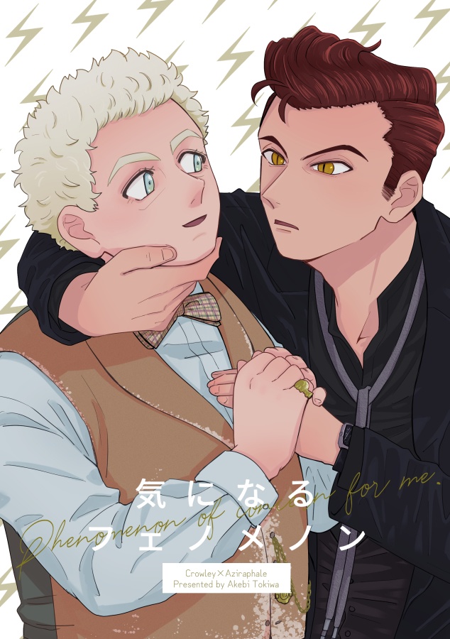 気になるフェノメノン