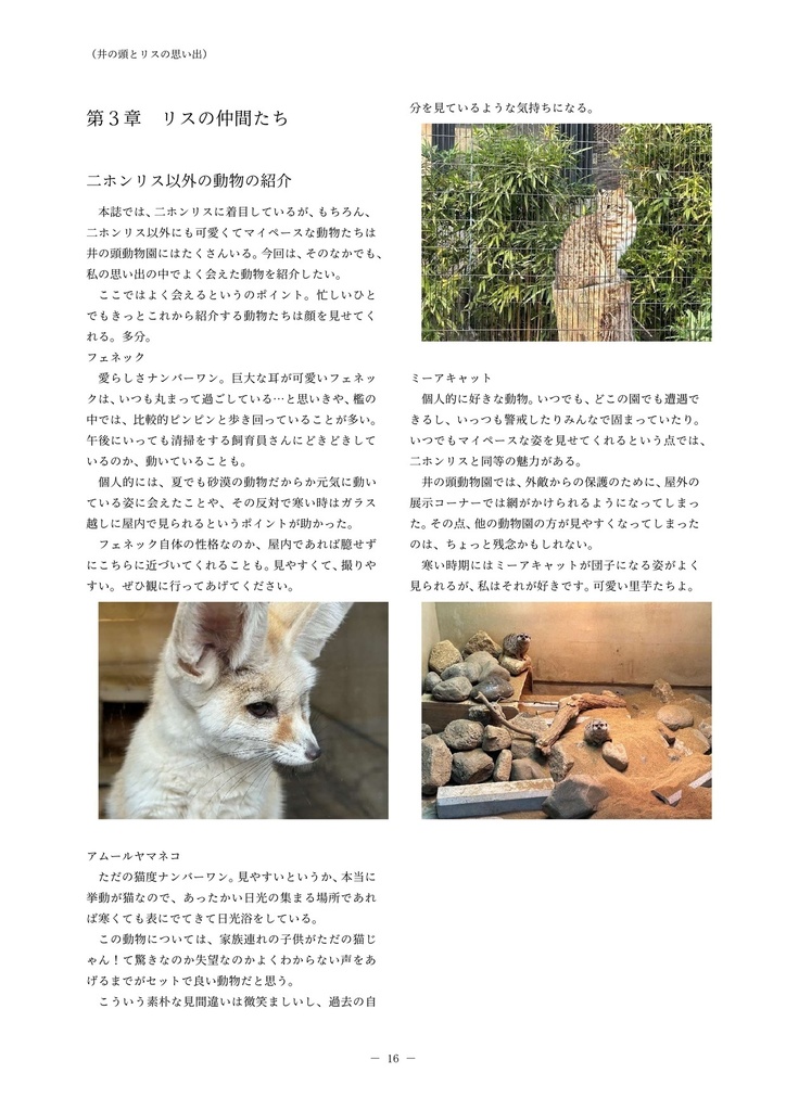 井の頭のリスと思い出