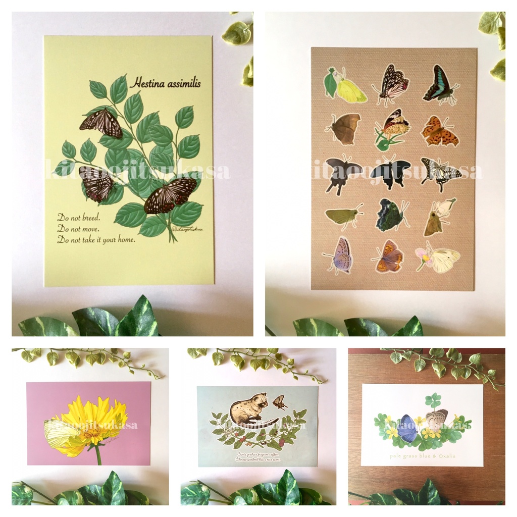 2枚から購入◆絵柄・枚数が選べるポストカードセット