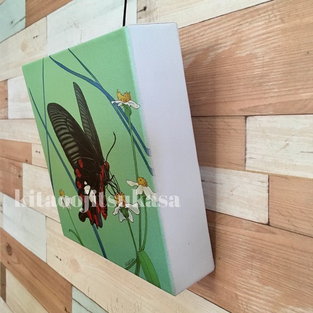 【ベニモンアゲハ】キャンバスプリント