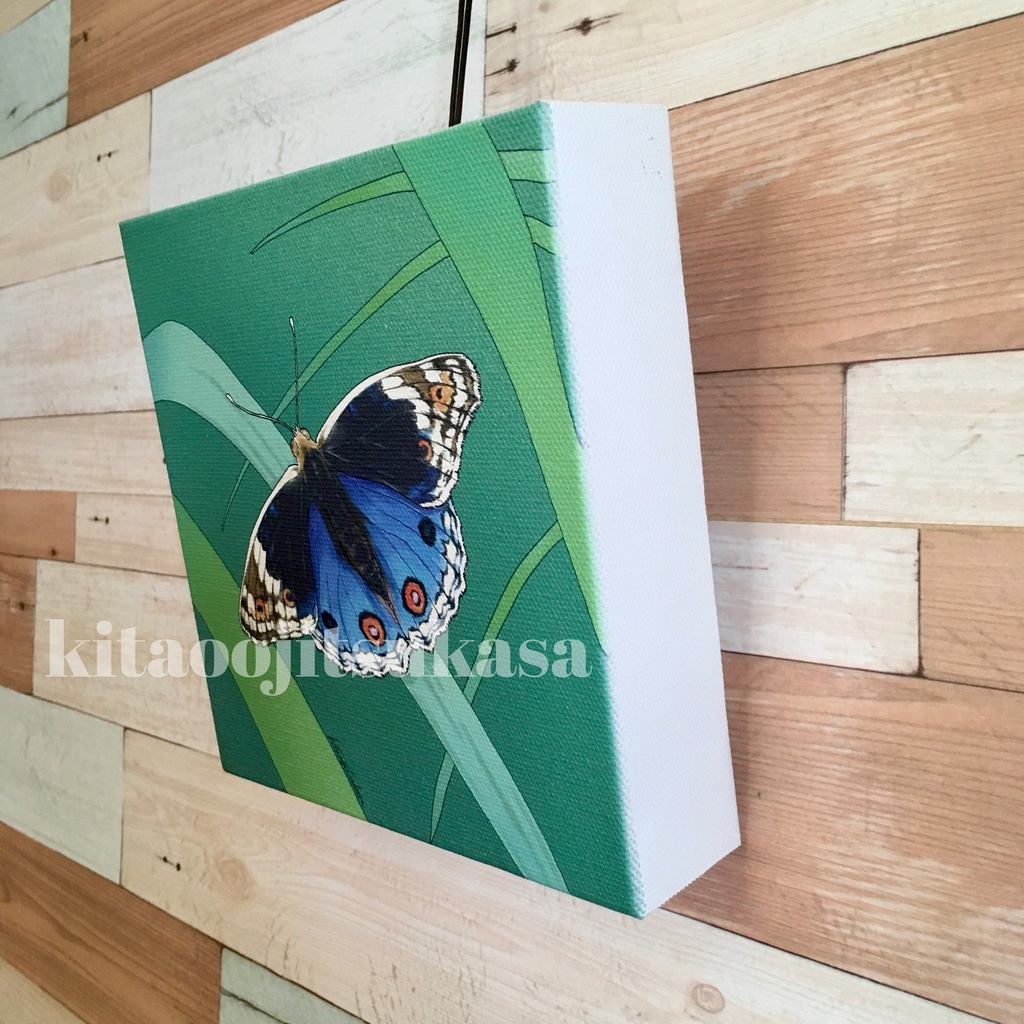 【アオタテハモドキ】キャンバスプリント