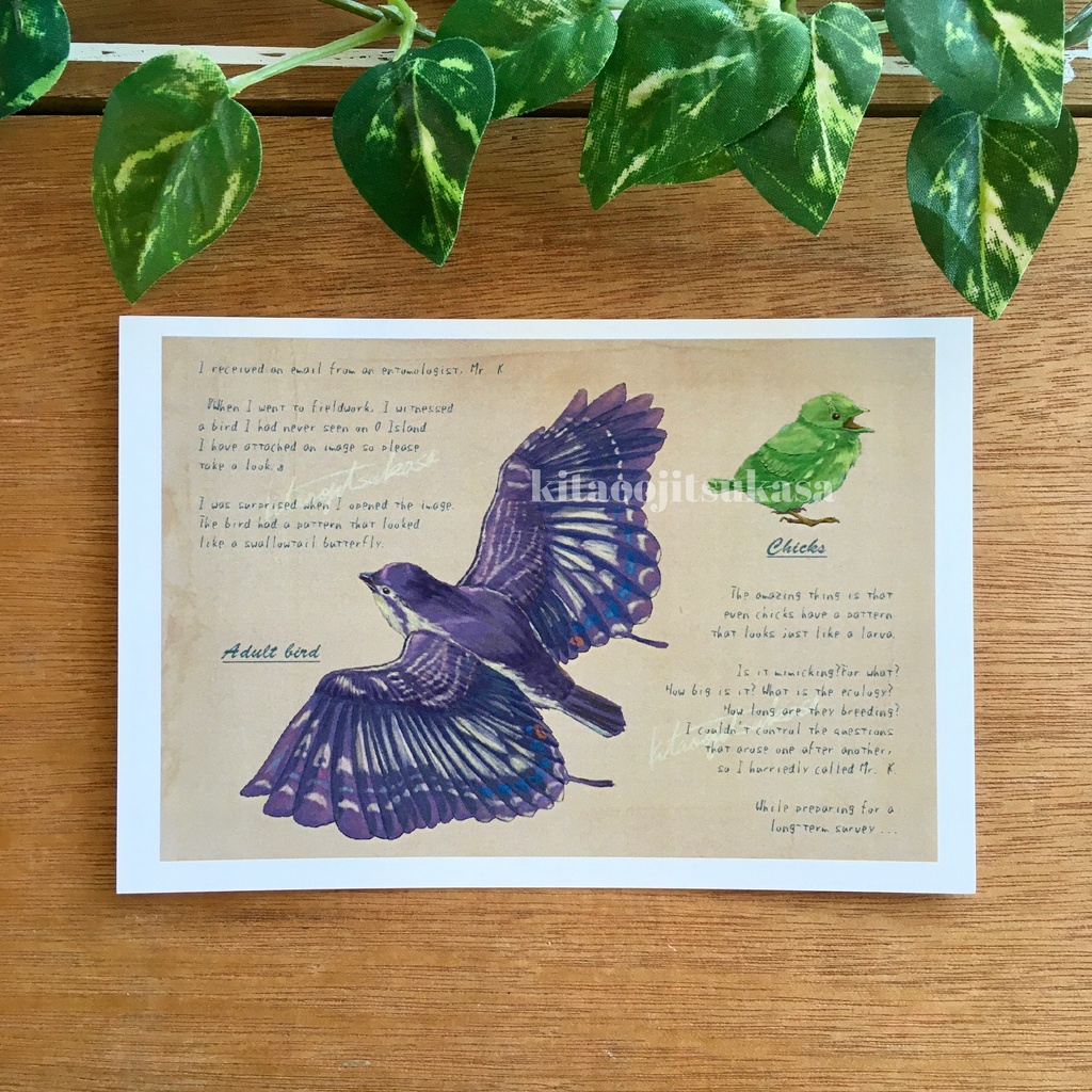 ポストカード【AGEHA-chou】