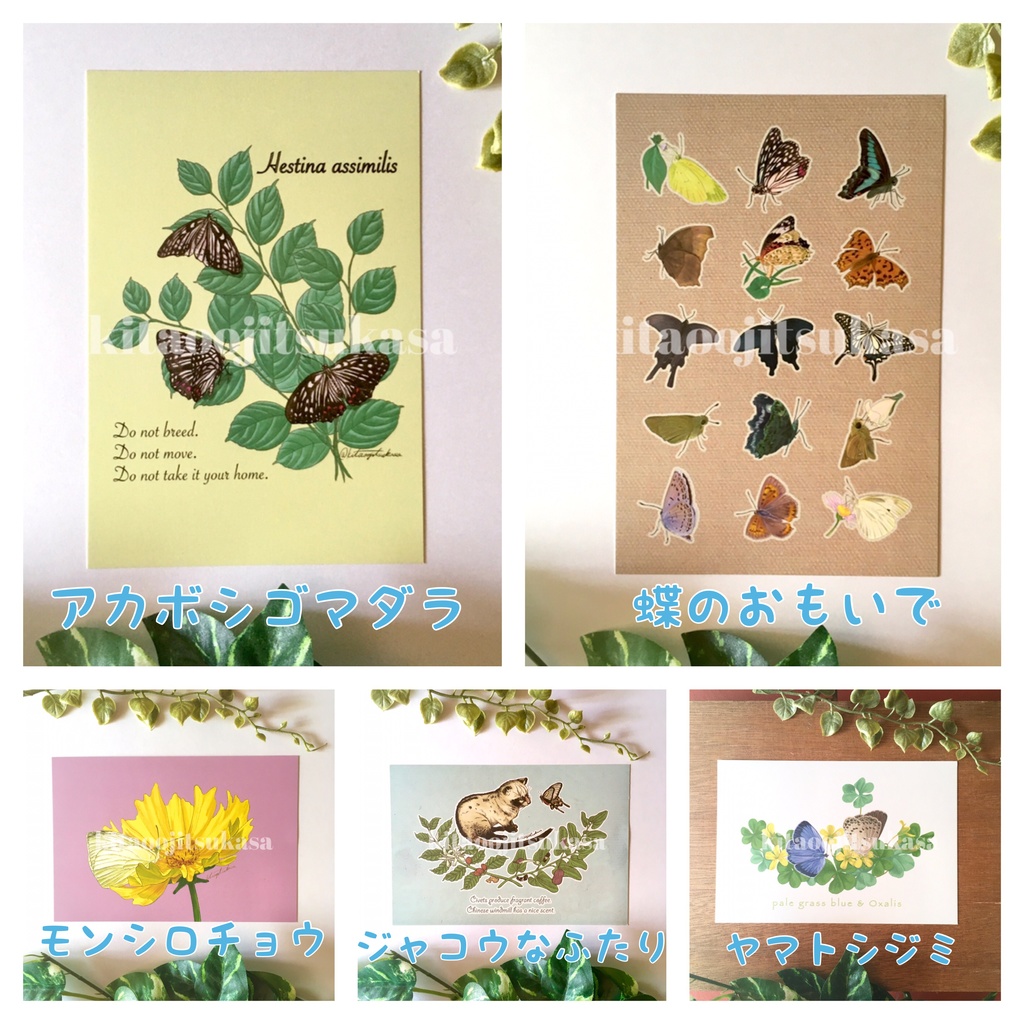 【全13種】選べるポストカードセット◇2枚から組み合わせ自由