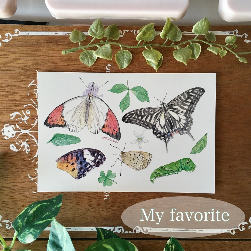 新作ポストカード