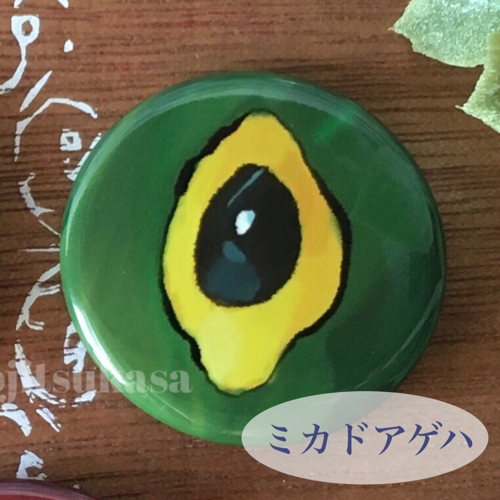 幼虫眼状紋缶バッジ