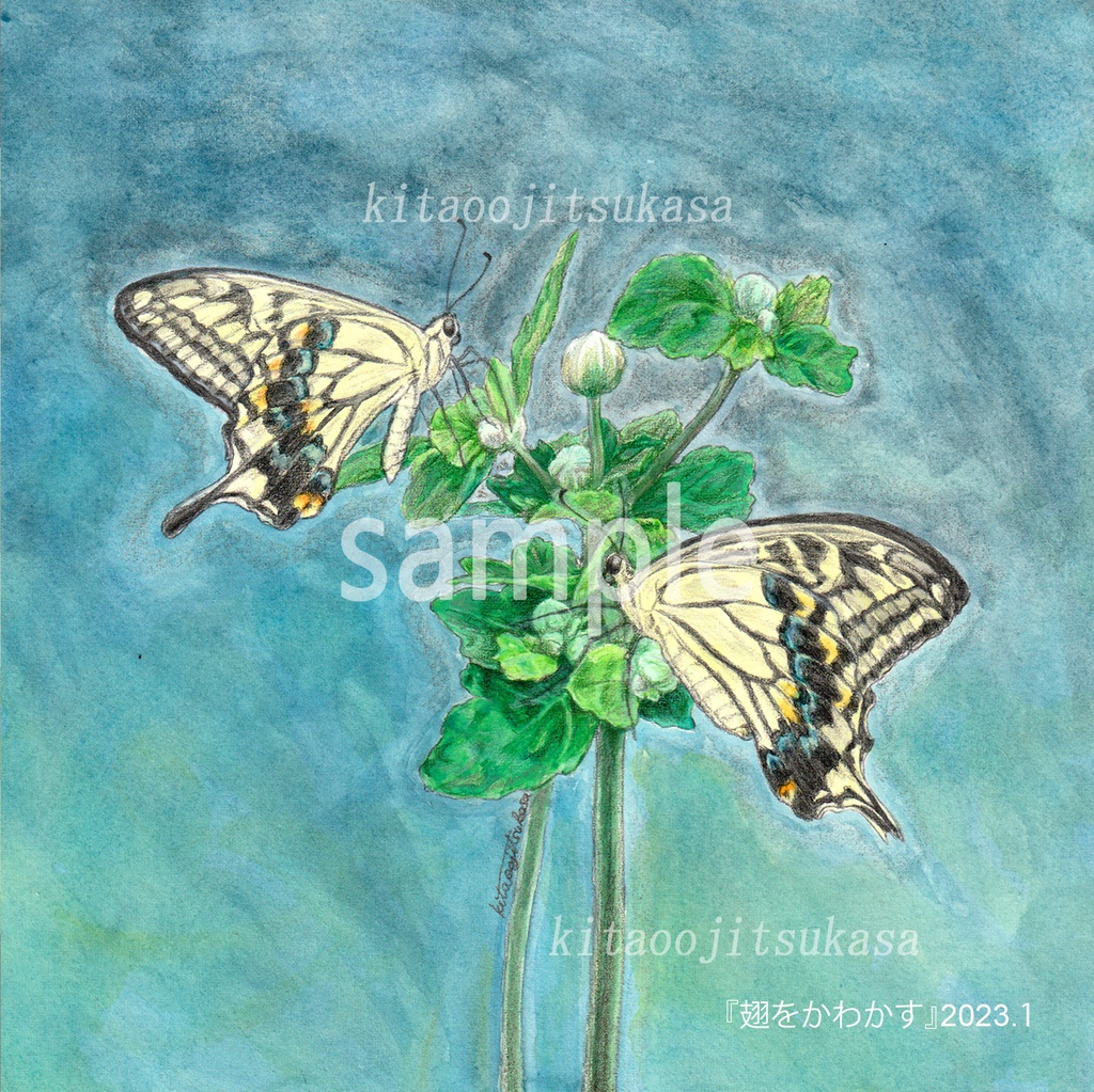 Kitaooji tsukasa illustration works 2020-2023
