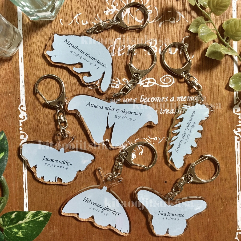 【全6種】両面アクリルキーホルダー