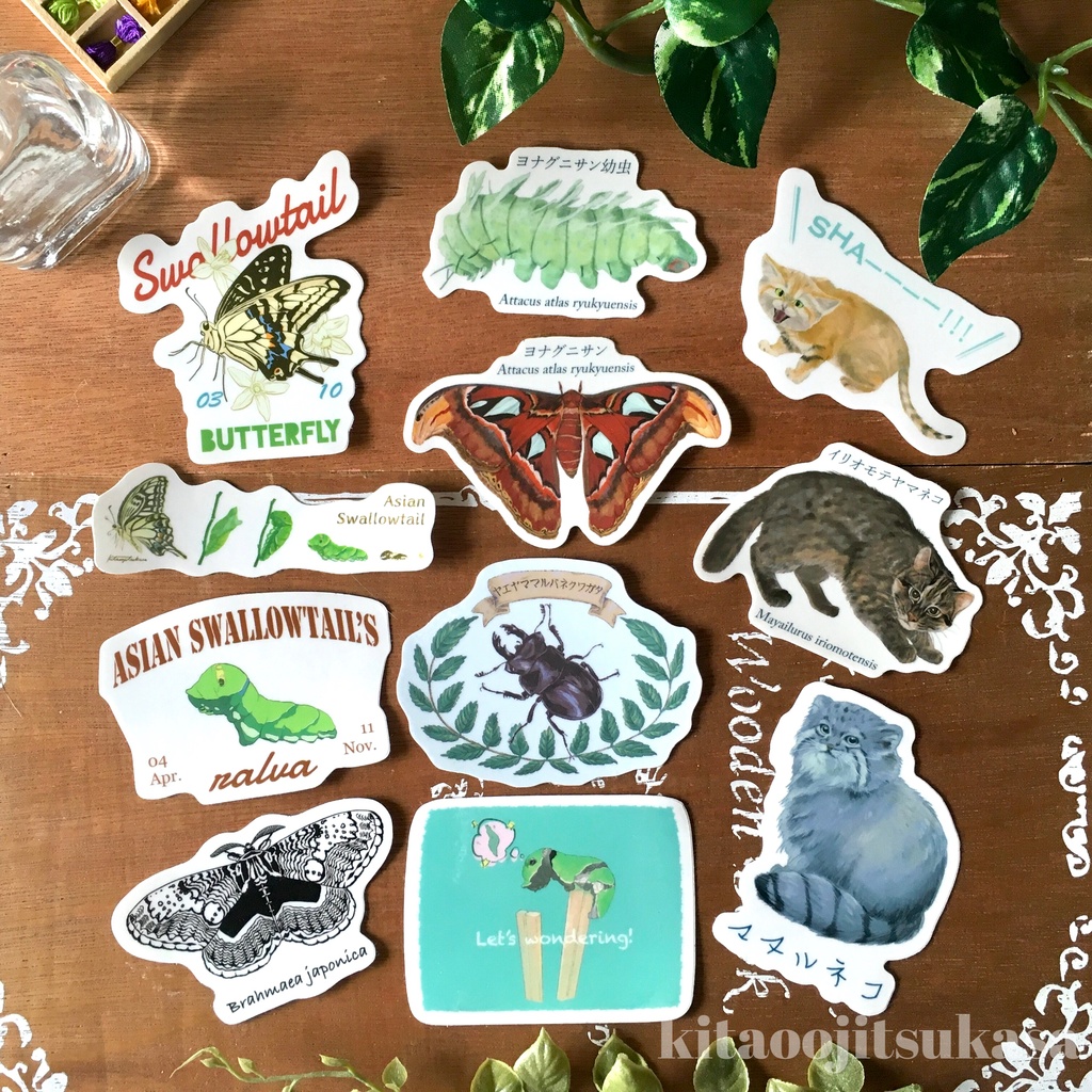 【全11種】耐候ステッカー