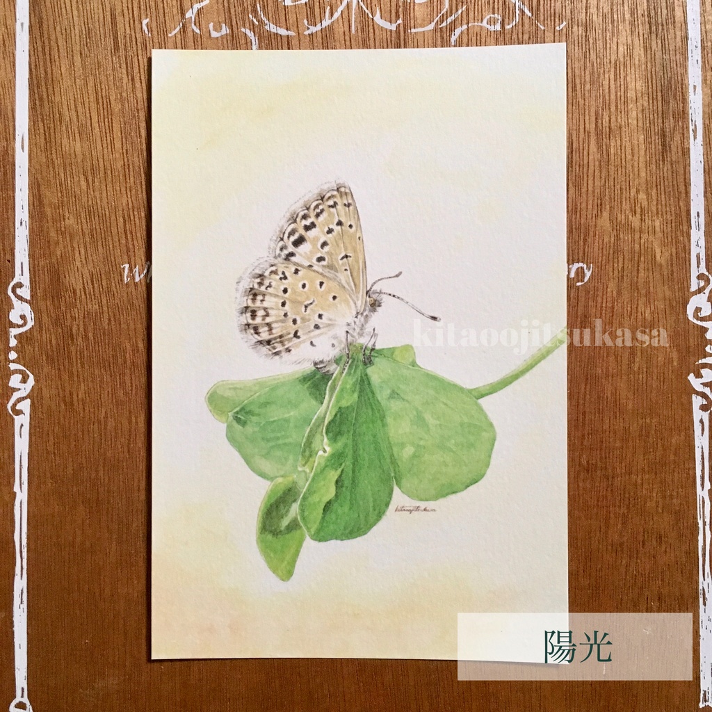 水彩画ポストカード