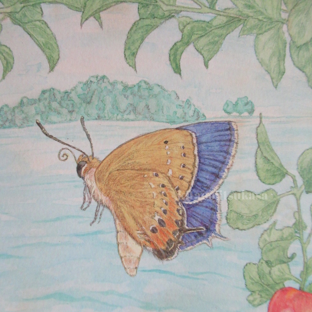 【原画】ふるさとへ