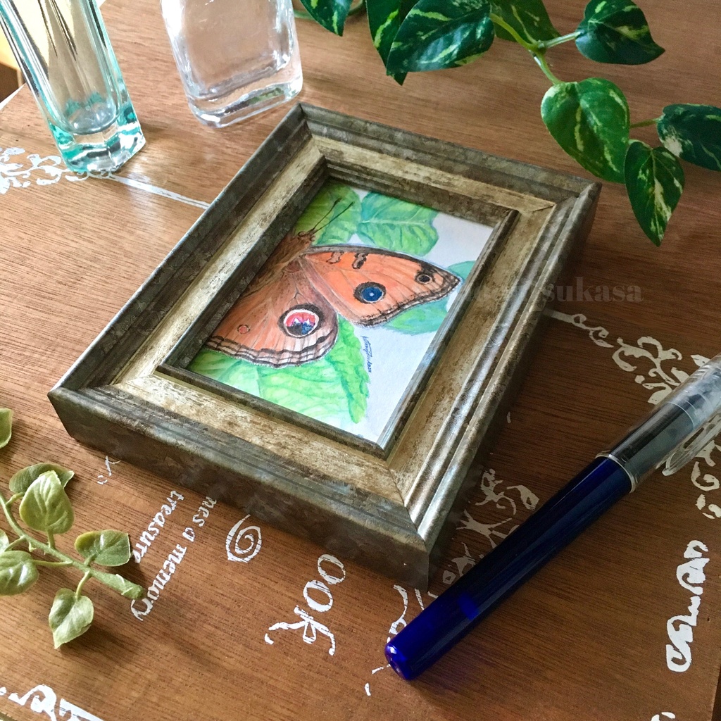 原画【タテハモドキ】