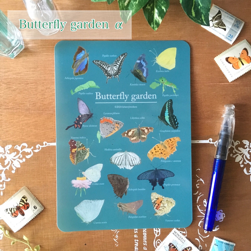 Butterfly garden下じき