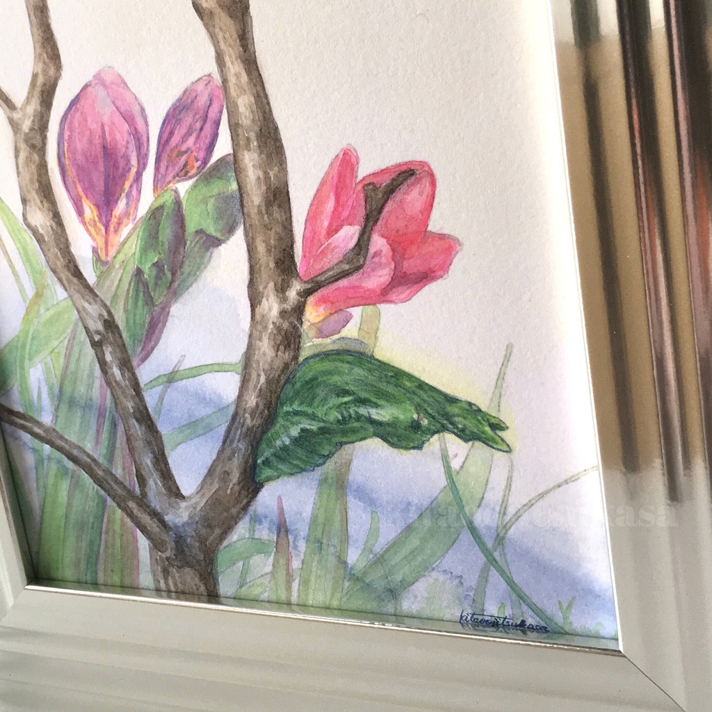 原画【春遠からじ】