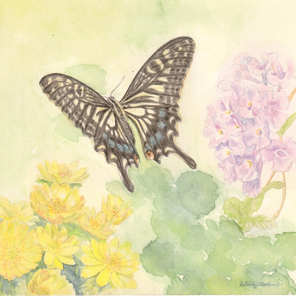 原画【蝶よ花よ】