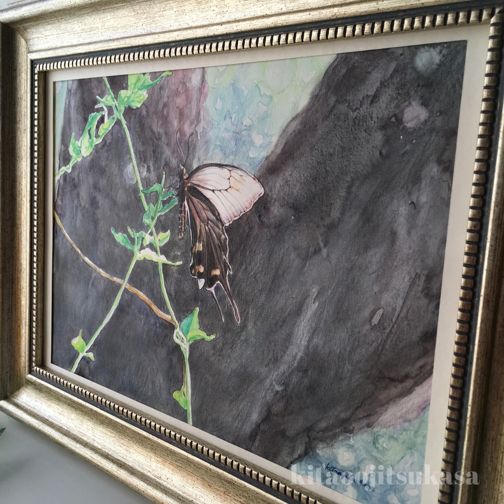 原画【夏の思い出】