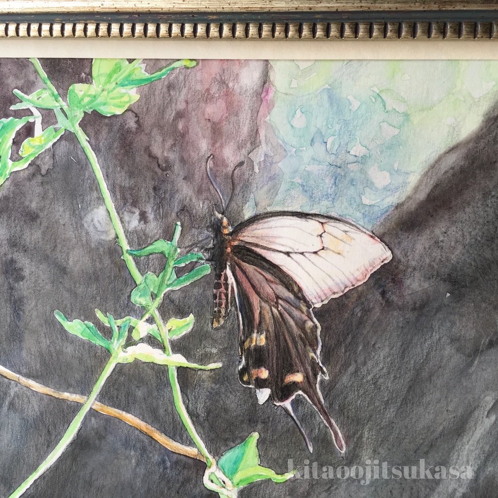 原画【夏の思い出】