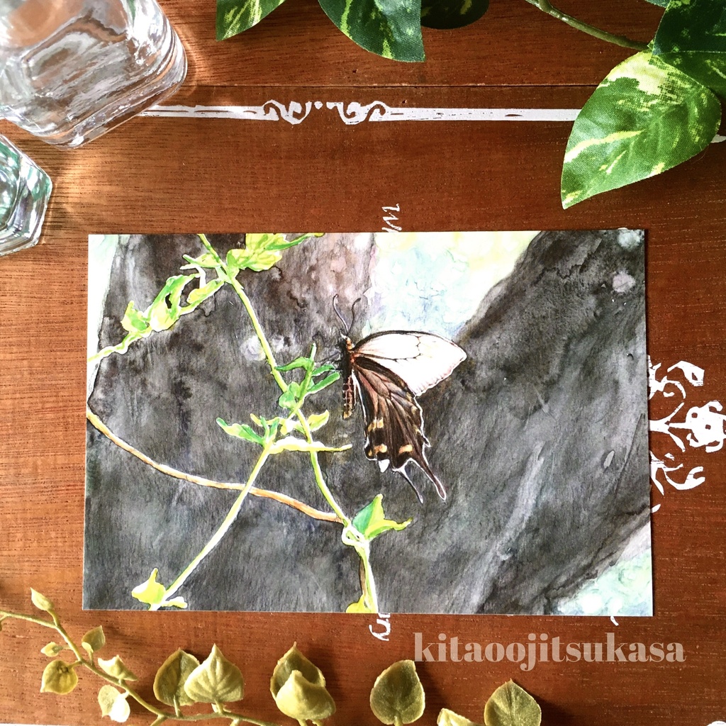 ポストカード【夏の思い出】