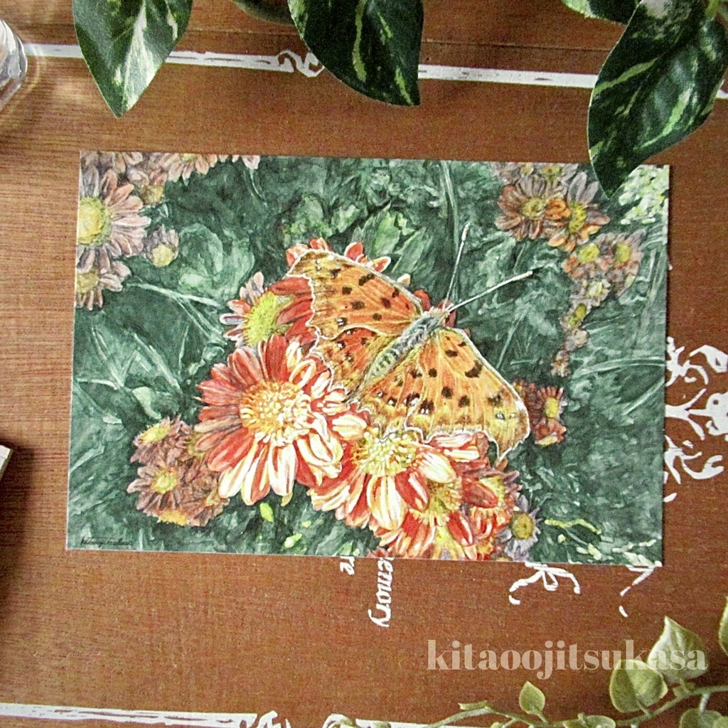 ポストカード【いつか見た光】