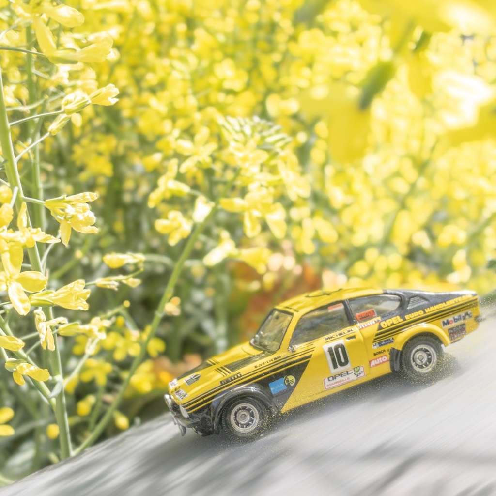 【デジタル画像】SS-20 OPEL KADETT GTE