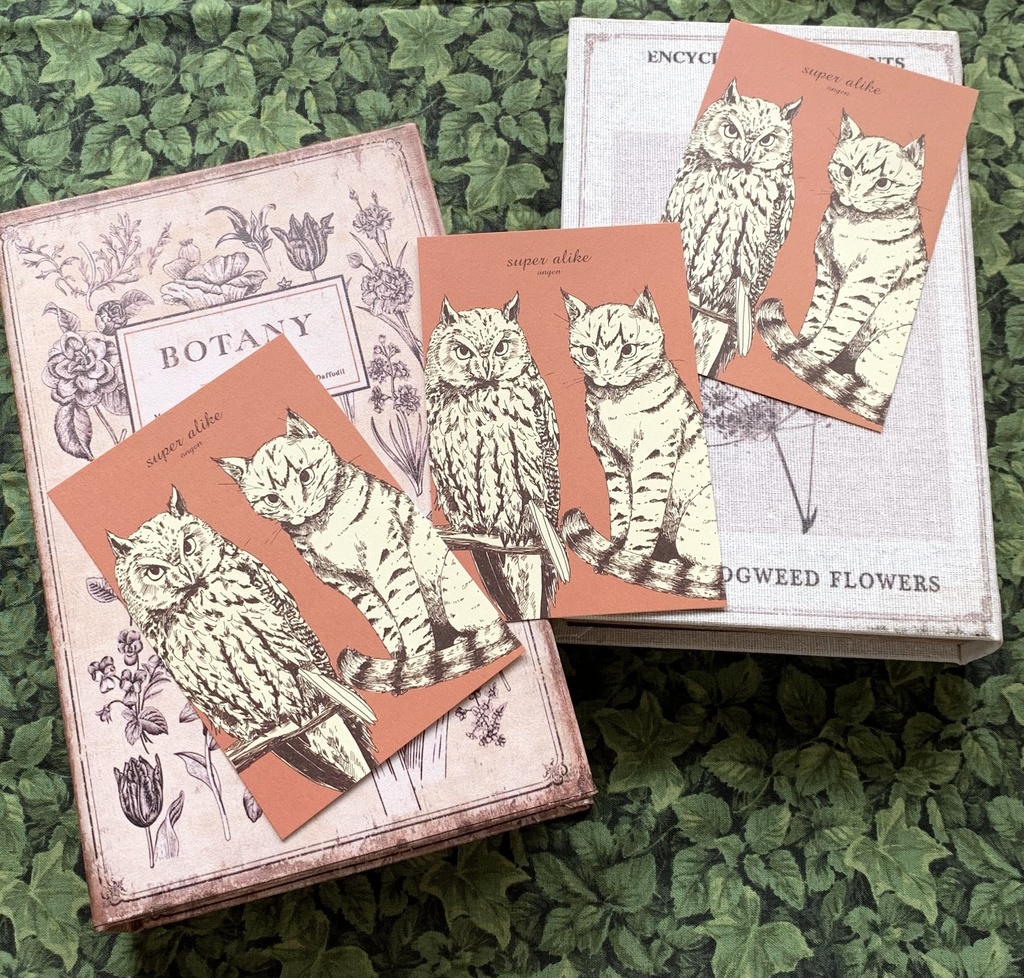 ミミズクと猫 瓜ふたつポストカードセット