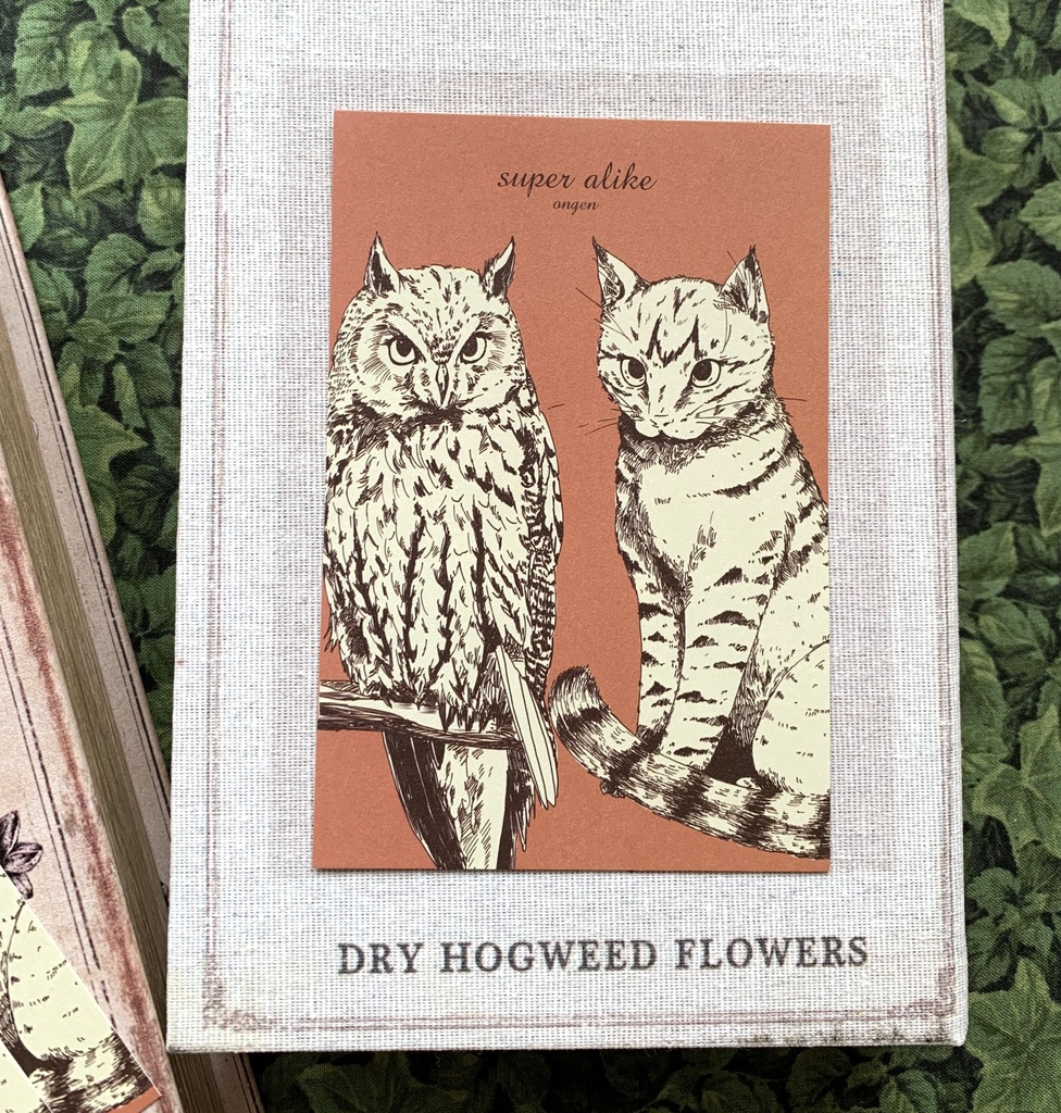 ミミズクと猫 瓜ふたつポストカードセット