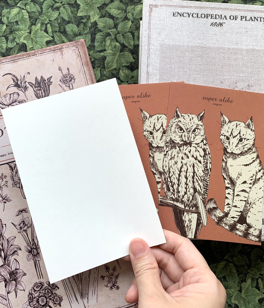 ミミズクと猫 瓜ふたつポストカードセット