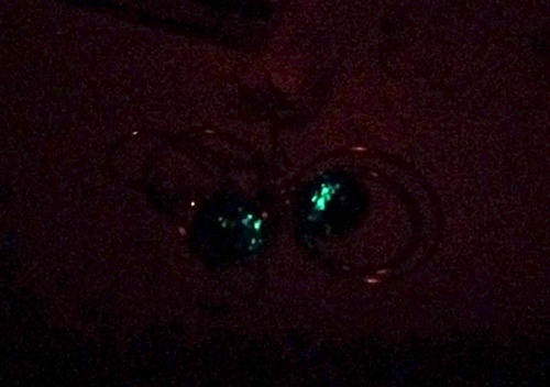 《米》イッツ・ア・スモールユニヴァース