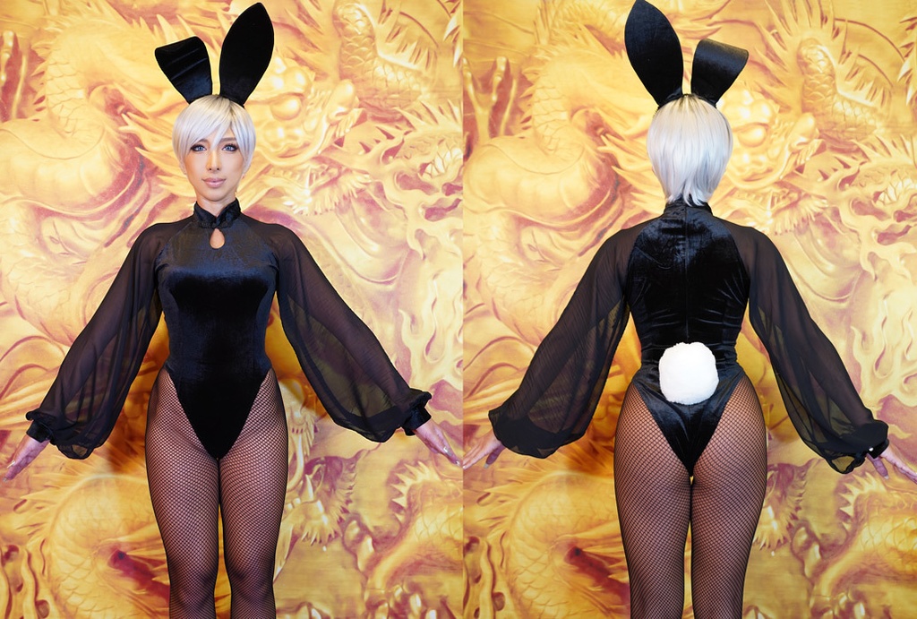 シースルーベルベットバニー